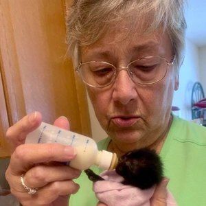 Meet your Posher, Jane